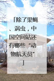 除了果蝇、涡虫，中国空间站还有哪些“动物航天员”