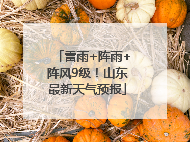 雷雨+阵雨+阵风9级！山东最新天气预报