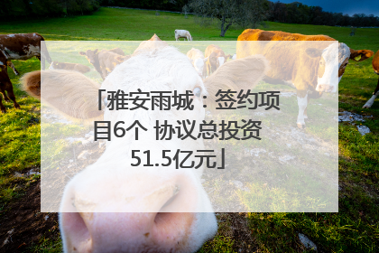 雅安雨城：签约项目6个 协议总投资51.5亿元