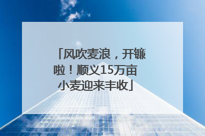 风吹麦浪，开镰啦！顺义15万亩小麦迎来丰收