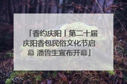 香约庆阳丨第二十届庆阳香包民俗文化节启幕 潘鲁生宣布开幕