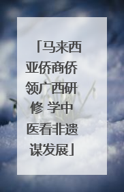 马来西亚侨商侨领广西研修 学中医看非遗谋发展