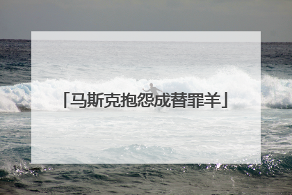 马斯克抱怨成替罪羊
