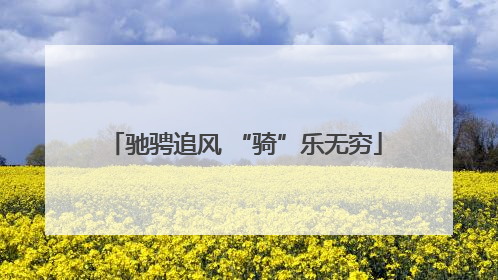 驰骋追风 “骑”乐无穷