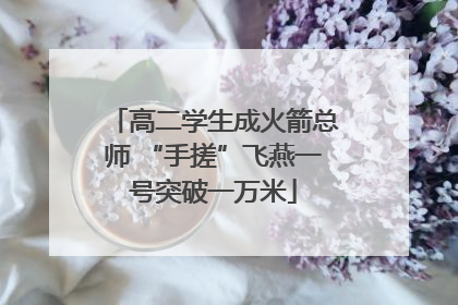 高二学生成火箭总师 “手搓”飞燕一号突破一万米