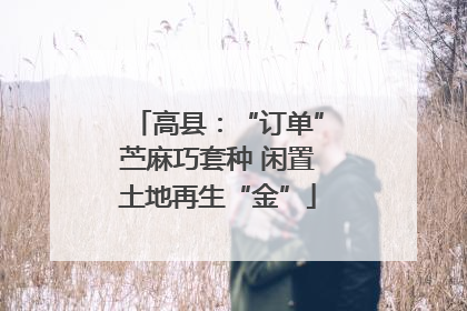 高县：“订单”苎麻巧套种 闲置土地再生“金”