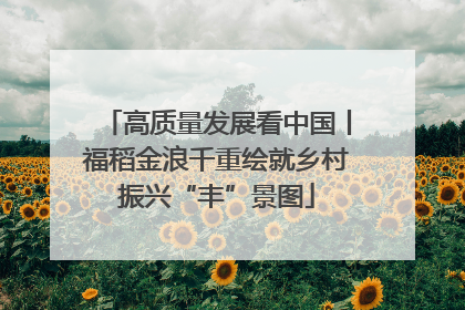 高质量发展看中国丨福稻金浪千重绘就乡村振兴“丰”景图