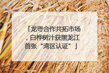 龙粤合作共拓市场，白桦树汁获黑龙江首张“湾区认证”