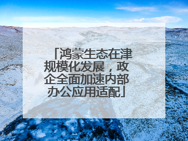 鸿蒙生态在津规模化发展，政企全面加速内部办公应用适配