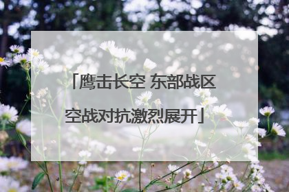 鹰击长空 东部战区空战对抗激烈展开