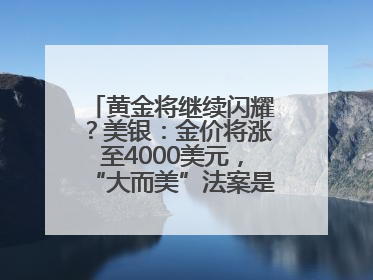 黄金将继续闪耀？美银：金价将涨至4000美元，“大而美”法案是关键！