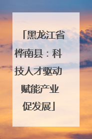 黑龙江省桦南县：科技人才驱动 赋能产业促发展