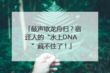 鼓声歇龙舟归？宿迁人的“水上DNA”藏不住了！