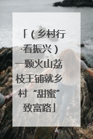 （乡村行·看振兴）一颗火山荔枝王铺就乡村“甜蜜”致富路