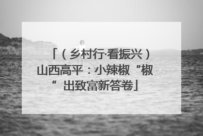 （乡村行·看振兴）山西高平：小辣椒“椒”出致富新答卷