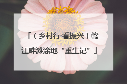 （乡村行·看振兴）赣江畔滩涂地“重生记”