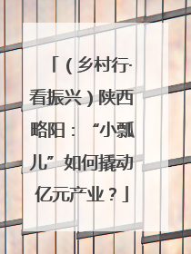 （乡村行·看振兴）陕西略阳：“小瓢儿”如何撬动亿元产业？