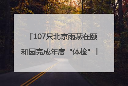 107只北京雨燕在颐和园完成年度“体检”
