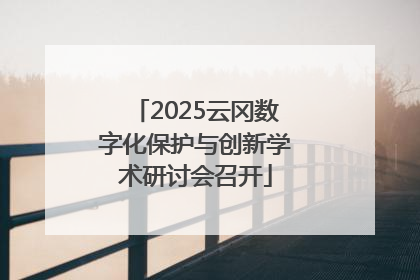 2025云冈数字化保护与创新学术研讨会召开