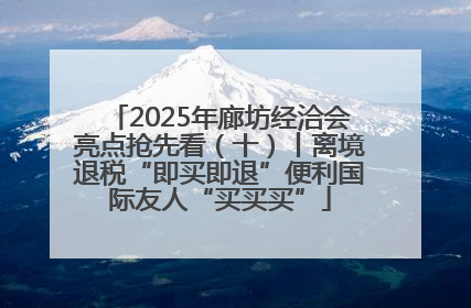 2025年廊坊经洽会亮点抢先看（十）丨离境退税“即买即退”便利国际友人“买买买”