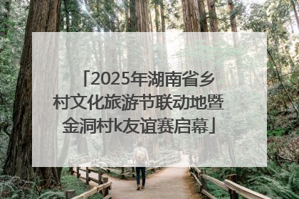 2025年湖南省乡村文化旅游节联动地暨金洞村k友谊赛启幕