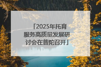 2025年托育服务高质量发展研讨会在普陀召开