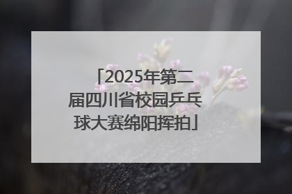 2025年第二届四川省校园乒乓球大赛绵阳挥拍
