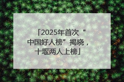2025年首次“中国好人榜”揭晓，十堰两人上榜