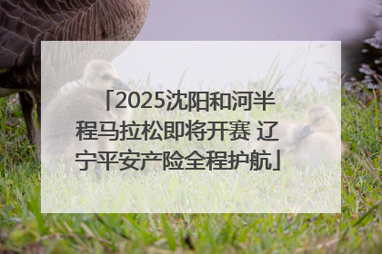 2025沈阳和河半程马拉松即将开赛 辽宁平安产险全程护航