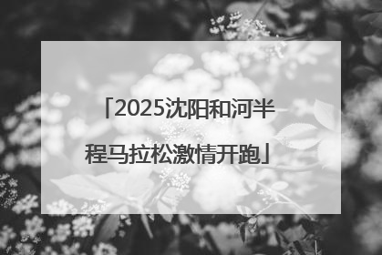 2025沈阳和河半程马拉松激情开跑