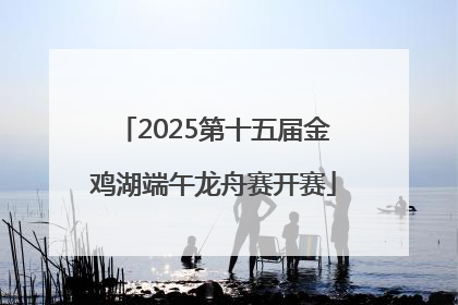 2025第十五届金鸡湖端午龙舟赛开赛