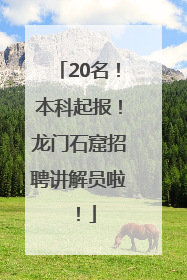20名！本科起报！龙门石窟招聘讲解员啦！
