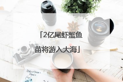 2亿尾虾蟹鱼苗将游入大海