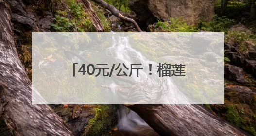 40元/公斤！榴莲正大量上市！水果批发商：价格还在降，一天卖出2000箱