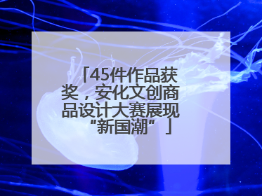 45件作品获奖，安化文创商品设计大赛展现“新国潮”