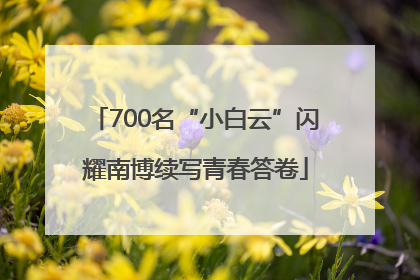 700名“小白云”闪耀南博续写青春答卷