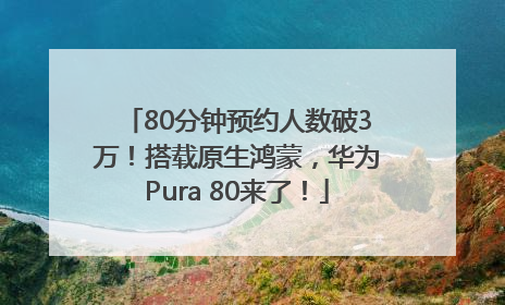 80分钟预约人数破3万！搭载原生鸿蒙，华为Pura 80来了！