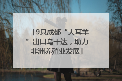 9只成都“大耳羊”出口乌干达，助力非洲养殖业发展