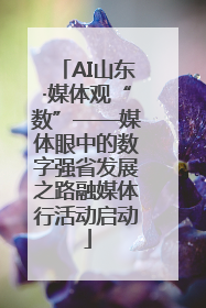 AI山东·媒体观“数”——媒体眼中的数字强省发展之路融媒体行活动启动